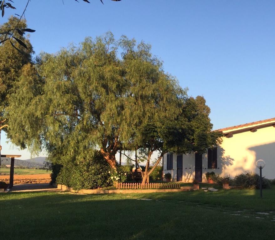 Agriturismo Belvedere 佩夏罗马纳 外观 照片